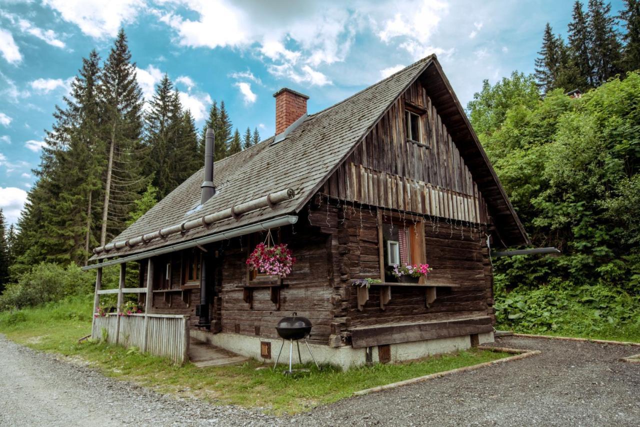 Almhuette Hebalm Villa Pack ภายนอก รูปภาพ