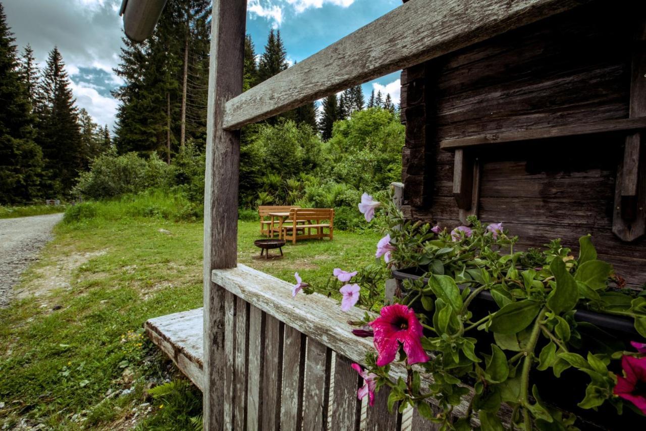 Almhuette Hebalm Villa Pack ภายนอก รูปภาพ